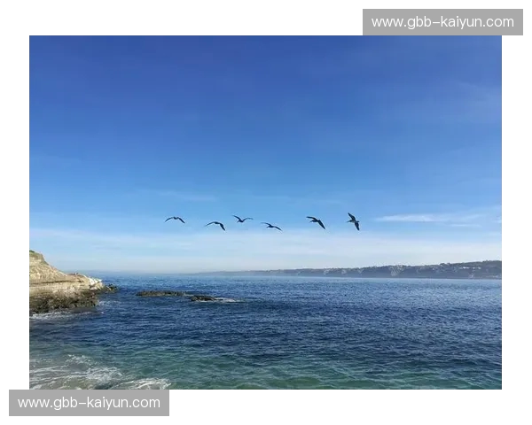 从黄浦江到丰田中心：当“大鲨鱼”撞上“火箭”，一场跨越万里的篮球绮梦